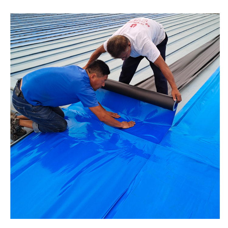 Sheet Water Proofing