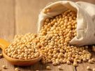 The medical advantages of soybeans for men